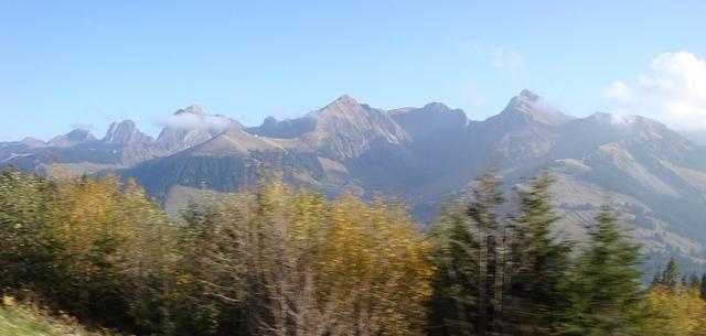 DSC00600