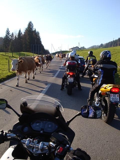 DSC00607