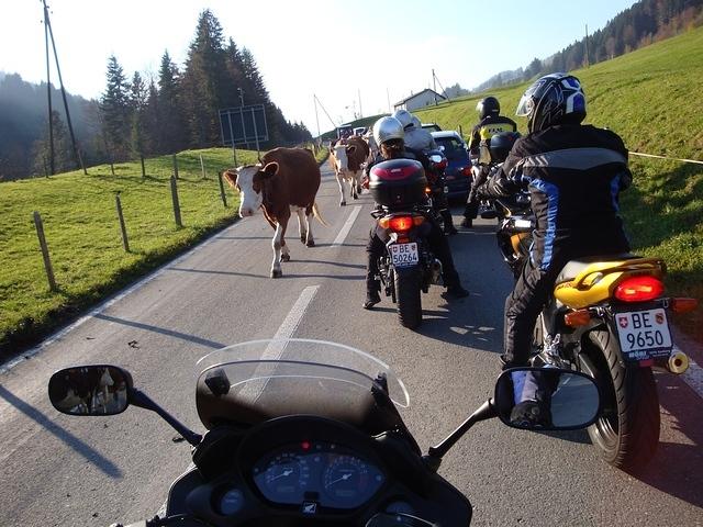 DSC00608