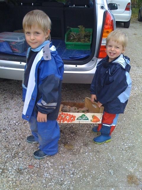 IMG 0272