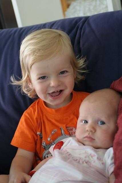 IMG 4048