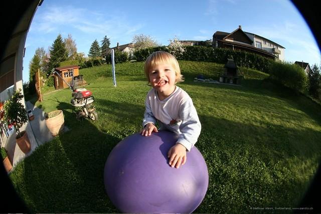 IMG 8954
