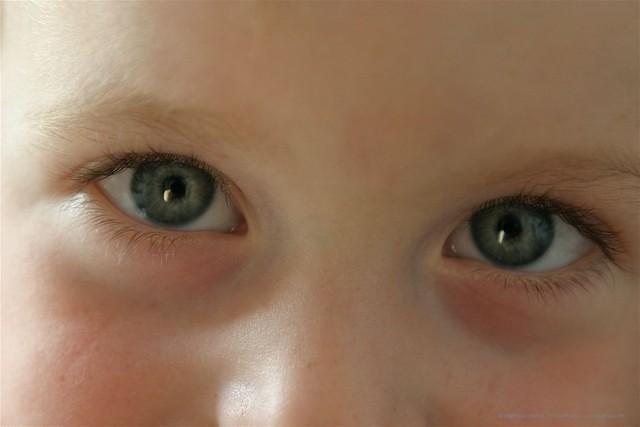 IMG 7661