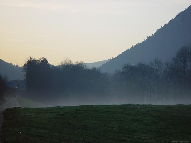 DSC06032