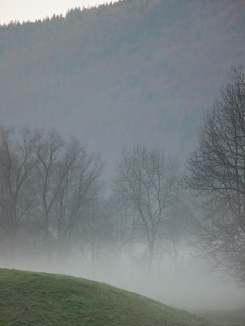 DSC06033