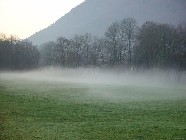 DSC06040