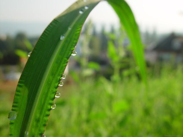 DSC08202