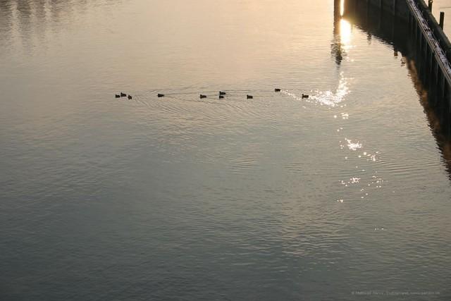 IMG 2839