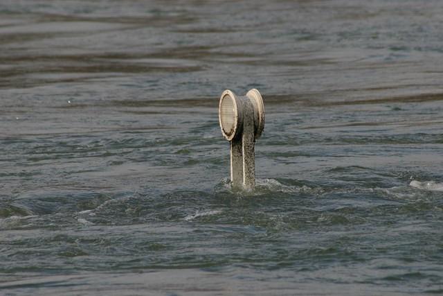IMG 7351