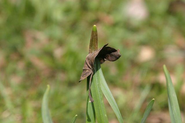 IMG 7456