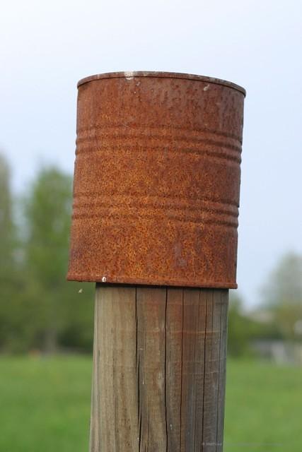 IMG 7523