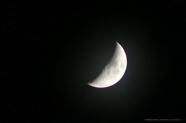 IMG 7562