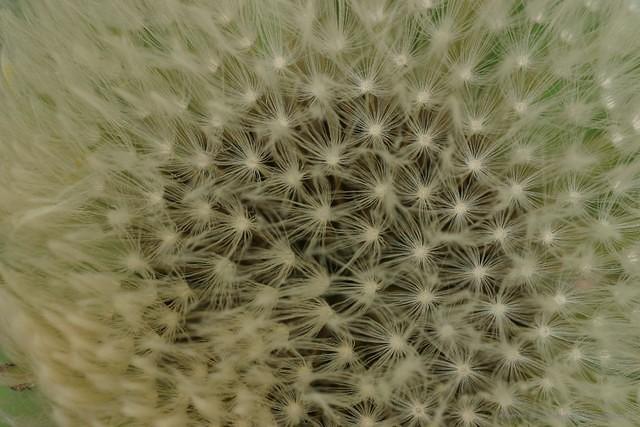 IMG 7599