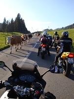 DSC00607