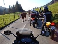 DSC00608