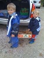 IMG 0272