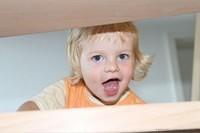 IMG 4129