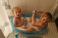 IMG 4951
