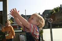 IMG 6883