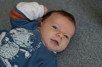 IMG 6890