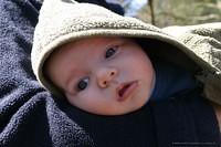 IMG 7272