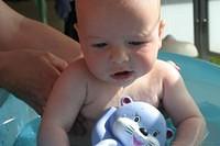 IMG 7883