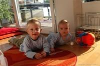 IMG 8889