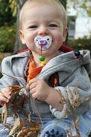 IMG 9186