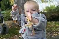 IMG 9190