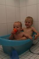 IMG 9903