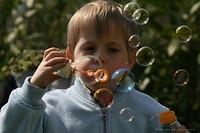 IMG 1770