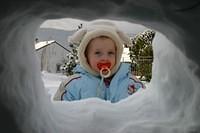 IMG 2529
