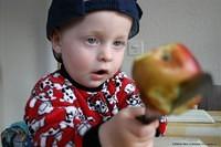 IMG 3190