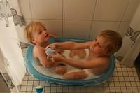 IMG 4953