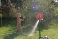 IMG 4961