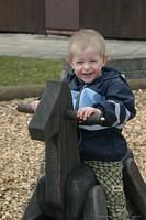 IMG 7038