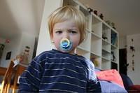 IMG 7176