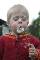 IMG 7631