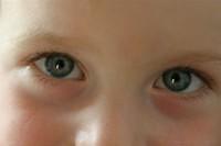 IMG 7661