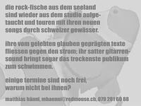 flyer hinten