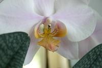 IMG 0958