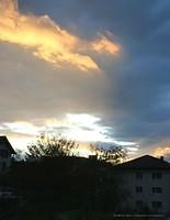 IMG 1833
