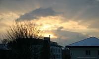IMG 2795