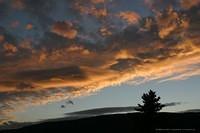 IMG 4470