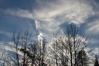 IMG 5443