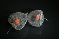 IMG 5531