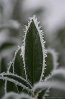 IMG 5645