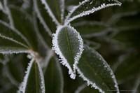 IMG 5650