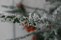 IMG 5654