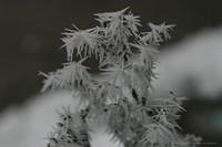IMG 5661